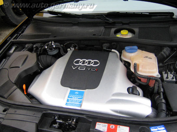 Audi Allroad (109)